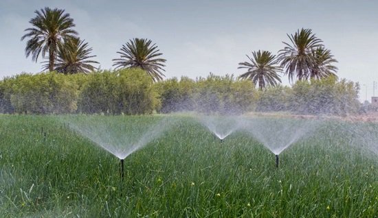 بسبب الجفاف.. عامل إقليم شيشاوة يصدر قرارات خاصة